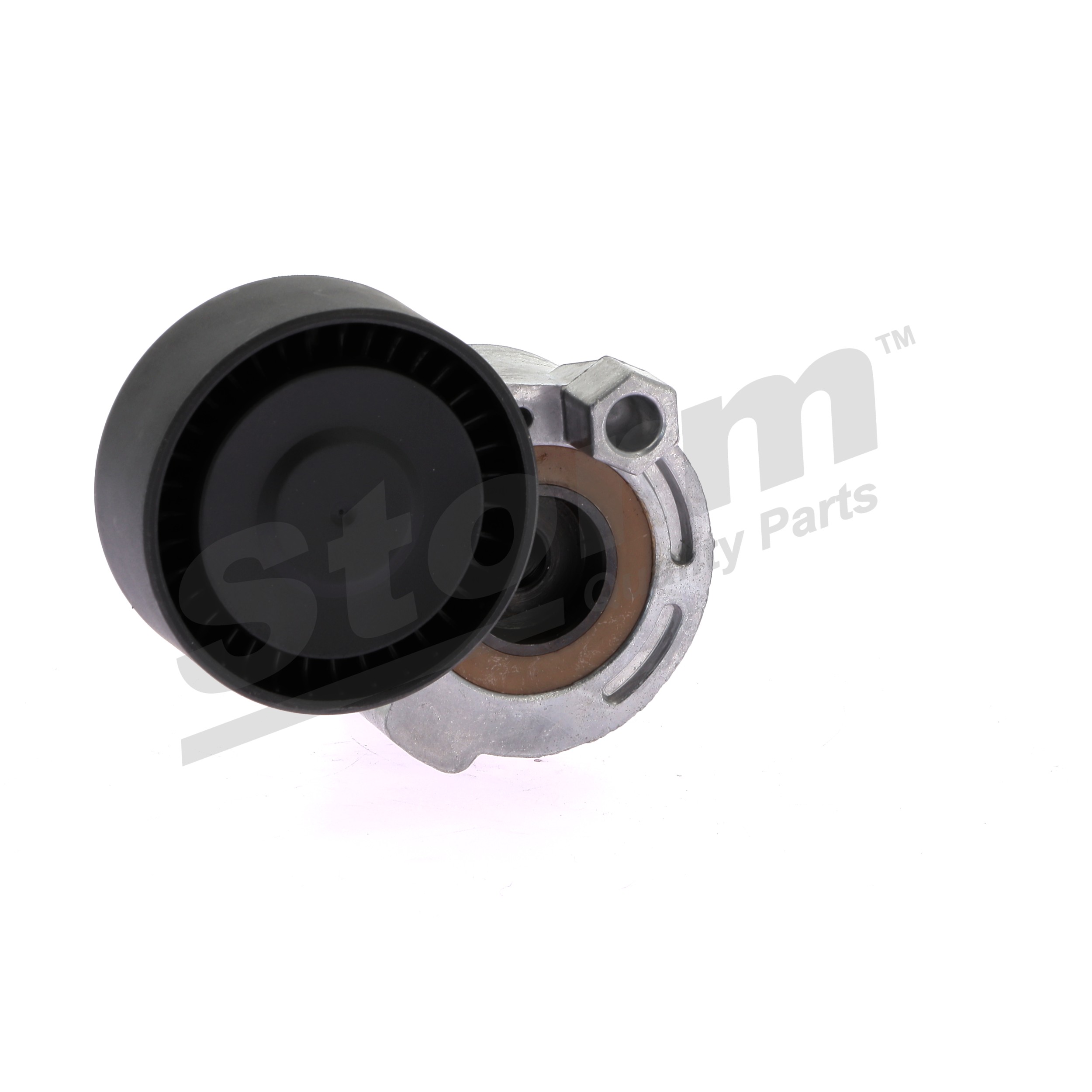 Spanrol, poly V-riem (87228) van STORM QUALITY PARTS Voor RENAULT CLIO II (BB0/1/2_, CB0/1/2_) 1.2 16V (BB05, BB0W, BB11, BB27, BB2T, BB2U, BB2V, CB05,... (55 KW / 75 PK / Van 2001)