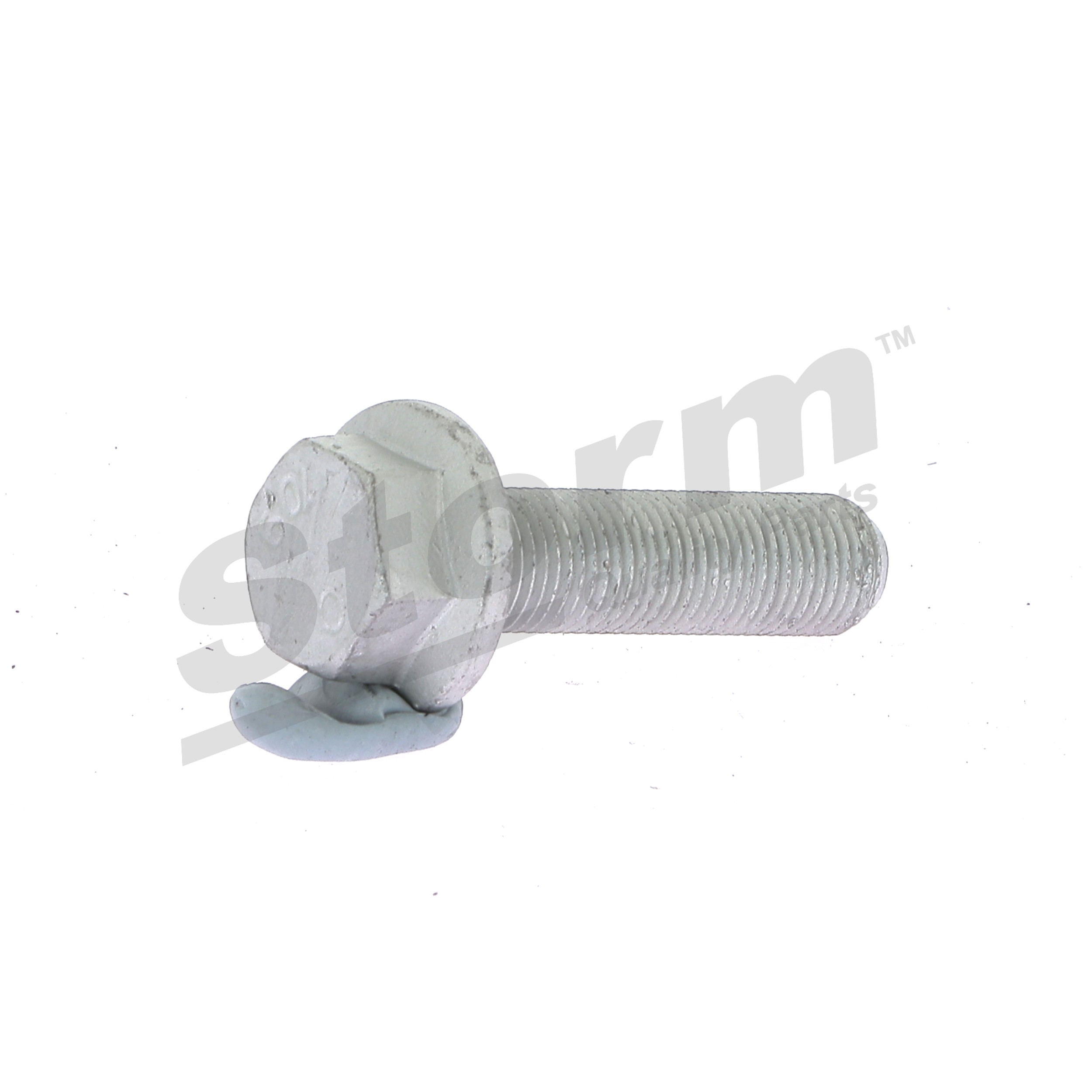STORM QUALITY PARTS Polea de cigüeñal (99995KIT) para RENAULT Scénic I Monovolumen (JA0/1, FA0) 1.9 dTi (JA0N) (72 KW / 98 CV / de 1999)