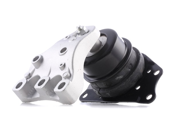 OEM 6Q0199167DB REINHOCH Moottorin tuki RH11-0030 varten VW, AUDI, SKODA, SEAT, CUPRA