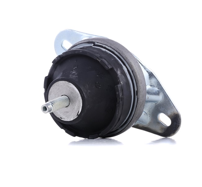 OEM 184493 REINHOCH Motorophæng RH11-2030 med VW, PEUGEOT, AUDI, CITROЁN, DS