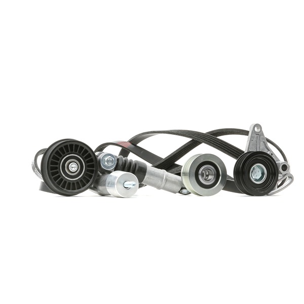 OEM 977132D100 RIDEX Moniurahihnasarja 542R0691 varten VW, BMW, AUDI, NISSAN, PEUGEOT