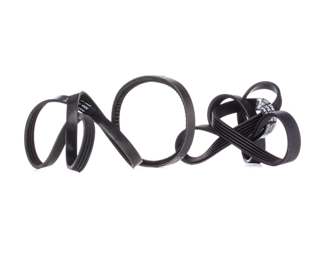 buy V-Ribbed Belt Set - STARK (SKRBS-1200693)