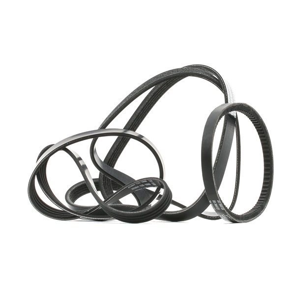 V-Ribbed Belt Set 542R0694 from RIDEX