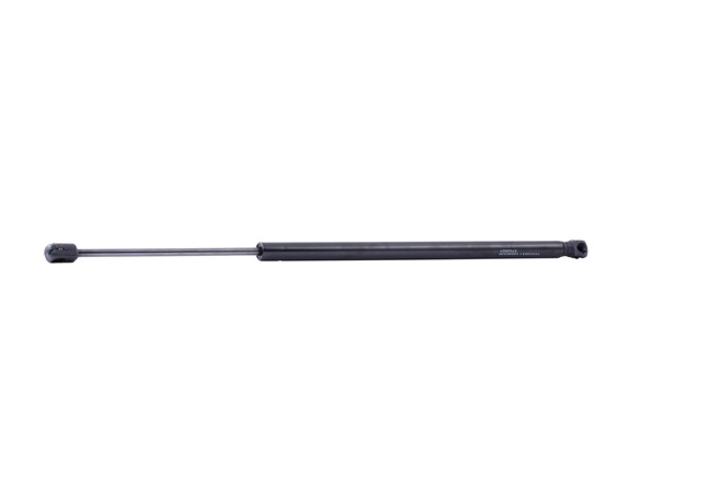 OEM 4769673 RIDEX Kaasujousi, tavaratila 219G1027 varten FORD