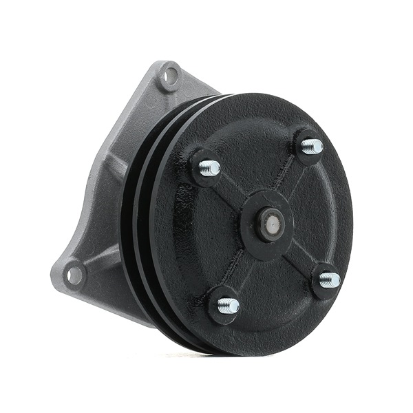 Vesipumppu STARK SKWP-0520527