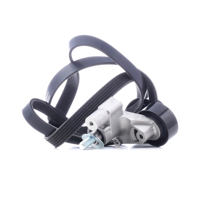 Poly V-riem set (542R0698) van RIDEX Voor CITROËN JUMPY Open laadbak/ Chassis (BU_, BV_, BW_, BX_) 1.9 TD (51 KW / 69 PK / Van 2000)