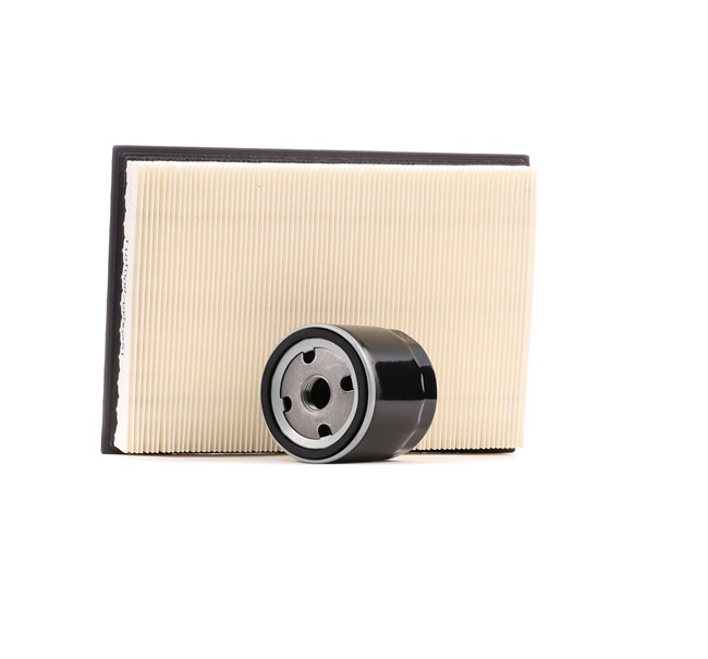 Filtersats (4055F1099) från RIDEX för FORD Fiesta Mk4 Hatchback (JAS, JBS) 1.3 i 50 HK