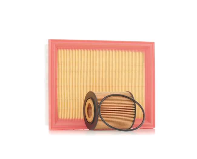 RIDEX Filter kit (4055F1376) for MINI Hatchback (R50, R53) One (66 KW / 90 HP / from 2001)