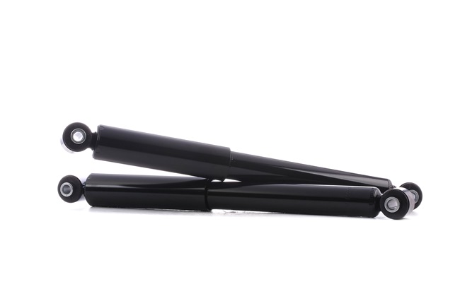 OEM 1330702 RIDEX Ammortizzatore 854S18116 per VOLVO, DAF