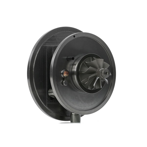 RIDEX Conjunto piezas turbocompresor (4973C0134) para VW Passat CC (357) 2.0 TDI (103 KW / 140 CV / de 2008)