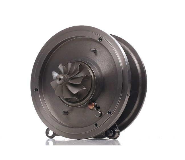 RIDEX Turbo 4973C0136