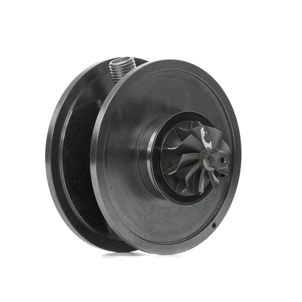 RIDEX Conjunto piezas turbocompresor (4973C0142) para SKODA Fabia II Hatchback (542) 1.6 TDI (55 KW / 75 CV / de 2010)
