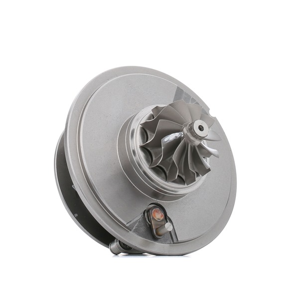 Turbo patroon (4973C0159) van RIDEX Voor VW CRAFTER 30-50 Open laadbak/ Chassis (2F_) 2.5 TDI (120 KW / 163 PK / Van 2006)
