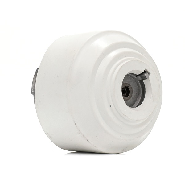OEM A2202400717 RIDEX Moottorin tuki 247E0755 varten MERCEDES-BENZ