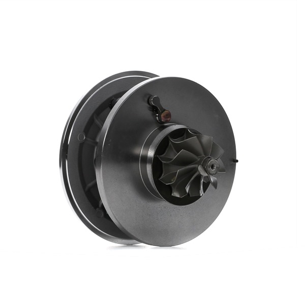 OEM 1383646 RIDEX Kjernegruppe, lader 4973C0169 for BMW, FORD, JAGUAR