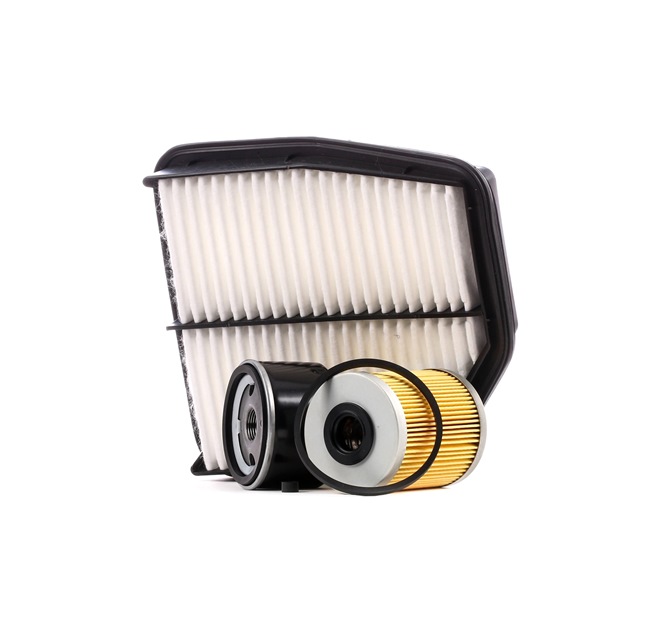 kaufen Filterset - RIDEX (4055F8131)