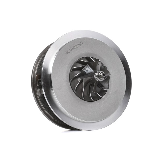 Turbo patroon (4973C0173) van RIDEX Voor VW LT 28-35 II Bus (2DB, 2DE, 2DK) 2.5 TDI (80 KW / 109 PK / Van 1999)
