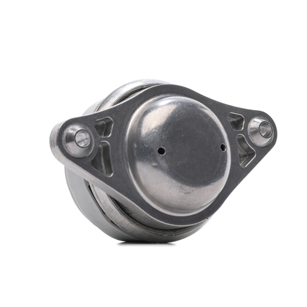 OEM A2212401917 RIDEX Moottorin tuki 247E0758 varten MERCEDES-BENZ