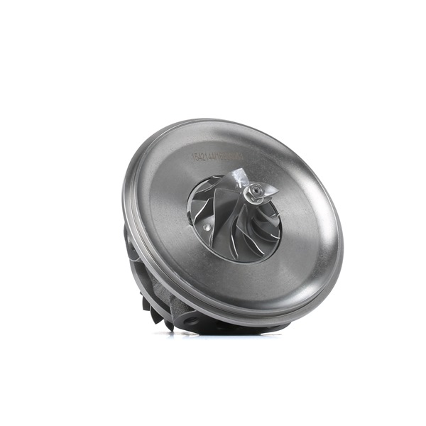 RIDEX Turbo 4973C0221