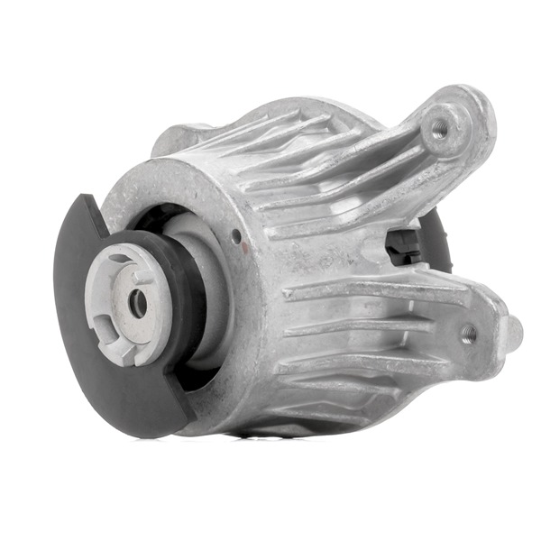 OEM A2052406617 RIDEX Supporto motore 247E0777 per MERCEDES-BENZ