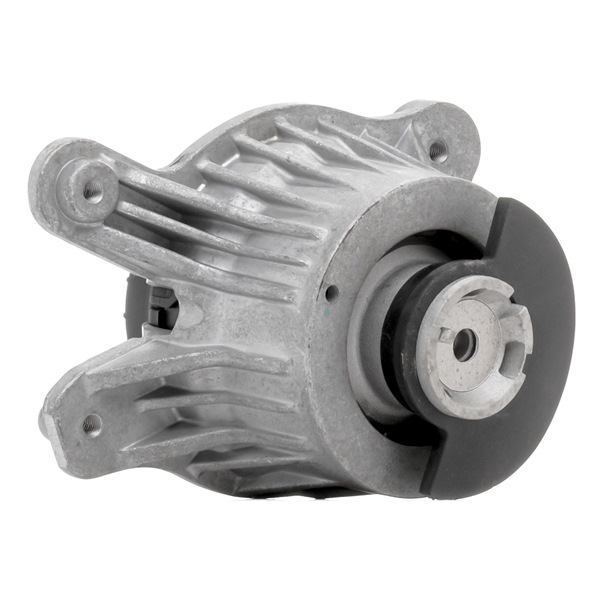 OEM A2052406717 RIDEX Supporto motore 247E0778 per MERCEDES-BENZ