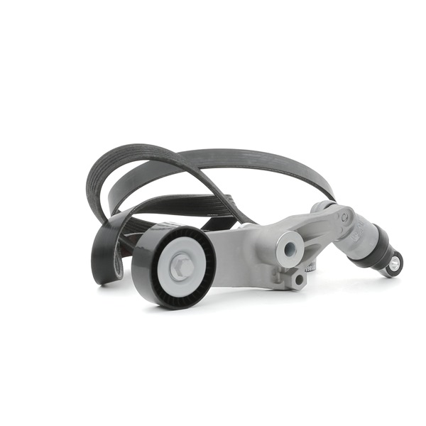 OEM 6C1Q6C301CC STARK Moniurahihnasarja SKRBS-1200708 varten FORD, FORD USA