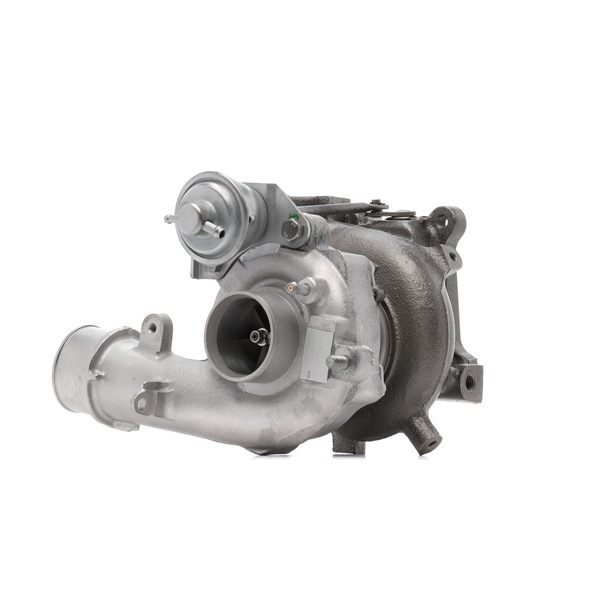 Turbo RIDEX REMAN 2234C10670R