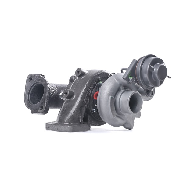 Turbo RIDEX REMAN 2234C0319R