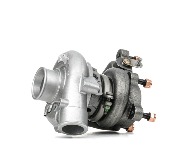 Turbo RIDEX REMAN 2234C10691R