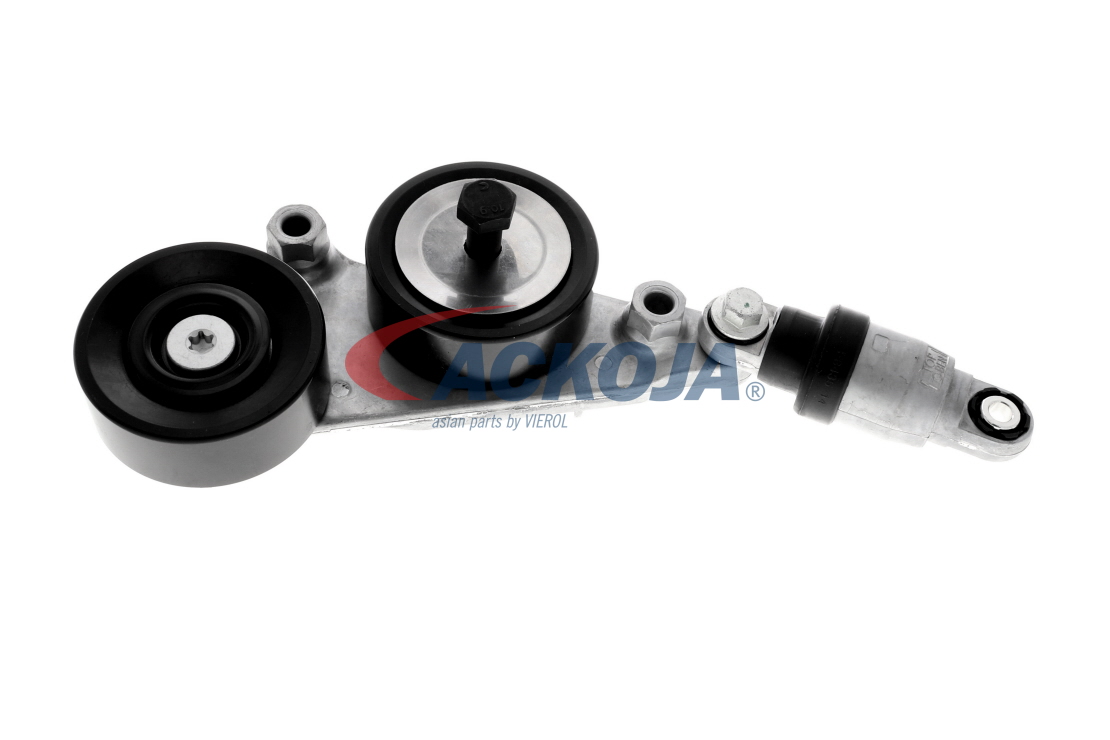 OEM 31170R70A01 ACKOJA Hihnankiristin, moniurahihna A26-0601 varten NISSAN, HONDA
