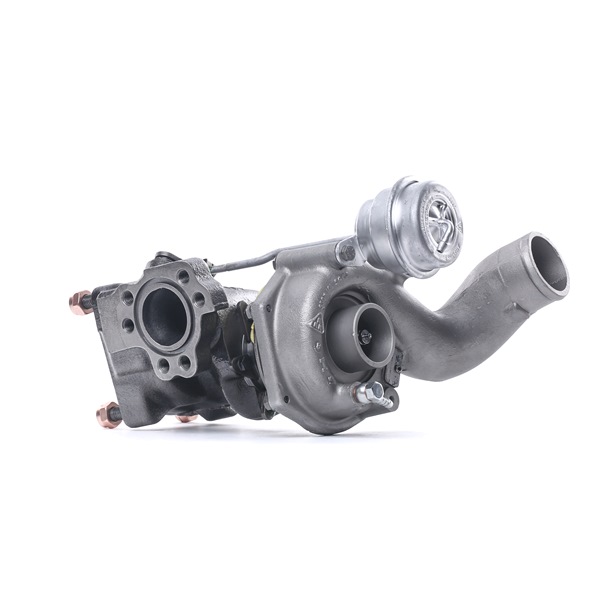 Turbo RIDEX REMAN 2234C10604R