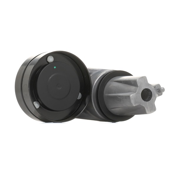 OEM 4H2Q19A216AF RIDEX  Spannrolle, Keilrippenriemen 310T0530 für LAND ROVER