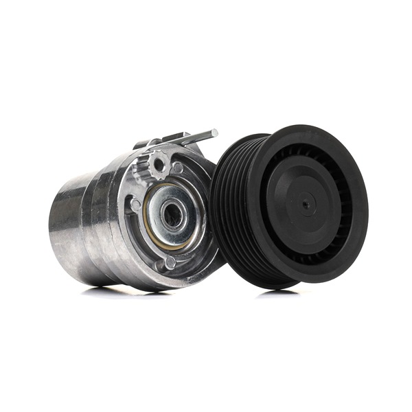 Spanrol, poly V-riem (310T0531) van RIDEX Voor RENAULT Twingo III Hatchback (BCM_) 0.9 TCe 110 (80 KW / 109 PK / Van 2016)