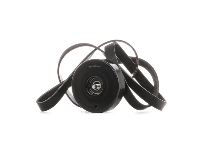 RIDEX Jogo de correias trapezoidais estriadas (542R0731) para MERCEDES-BENZ Classe C Sedan (W202) C 230 Kompressor (202.024) (142 KW / 193 CV / de 1995)