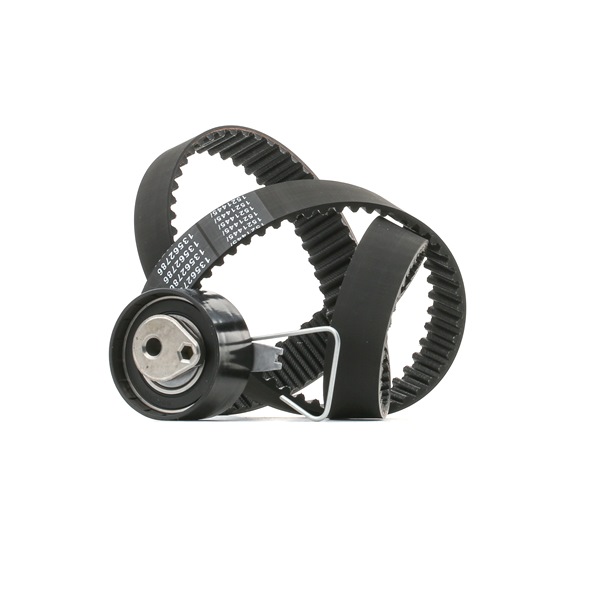 RIDEX Kit de distribution (307T0428) pour MG EXPRESS Camionnette 1.8 (86 KW / 117 CH / de 2003)