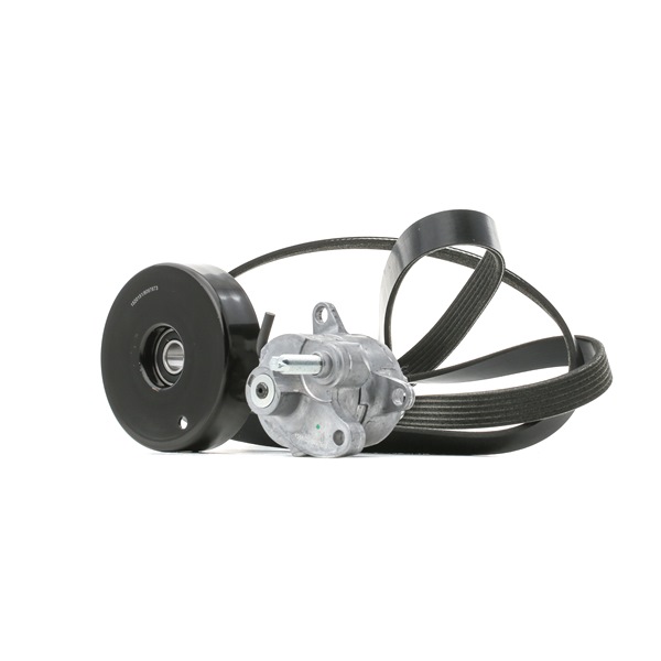 OEM 00A903315 RIDEX Kileremsett 542R0738 for VW, MERCEDES-BENZ, AUDI, SKODA, PORSCHE