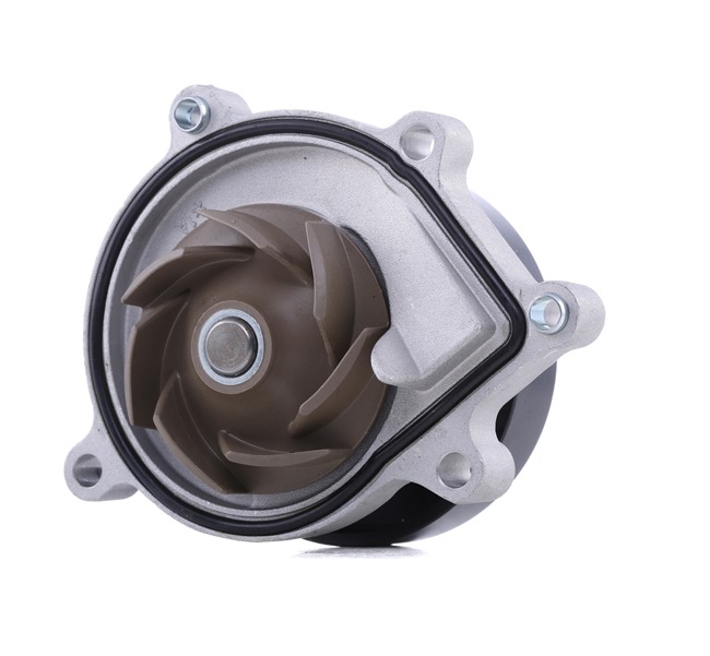 RAV 4 Pompa acqua 1260W0550 RIDEX