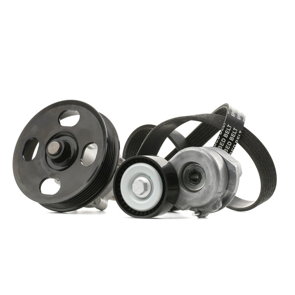 Multiriem STARK SKPRB-51660081