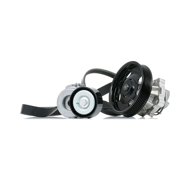 RIDEX Bomba de agua + kit de correa poli V (4172P0082) para OPEL Astra H GTC (A04) 1.3 CDTI (L08) (66 KW / 90 CV / de 2005)