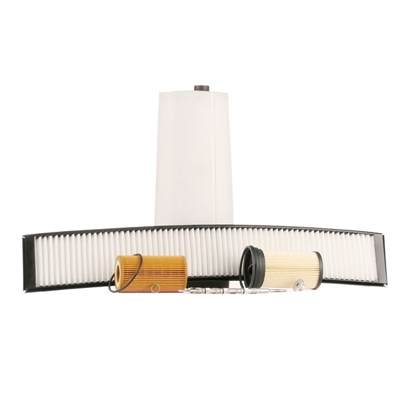 OEM PHE100500 RIDEX Servicepakke 4682P16604 for BMW, LAND ROVER, MG, ROVER