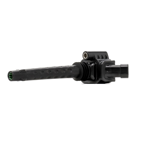 Tennspole ZS588 BERU