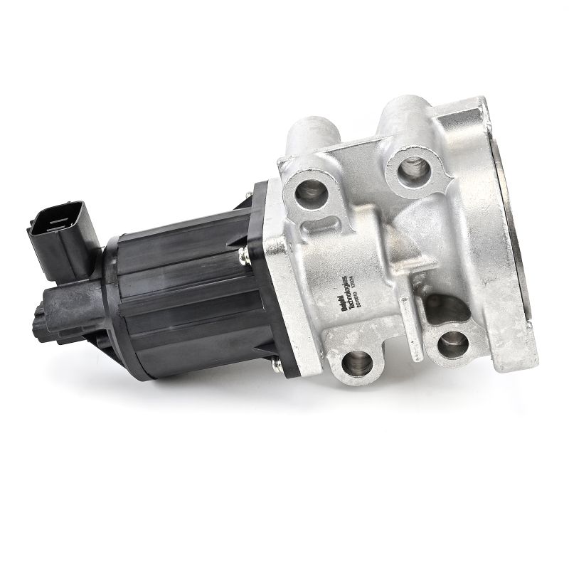 comprare Valvola EGR - DELPHI (EG10510-12B1)