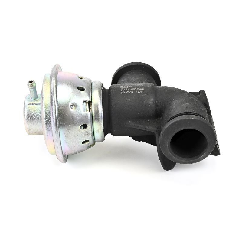 EGR klep (EG10530-12B1) van DELPHI Voor PEUGEOT BOXER Open laadbak/ Chassis (244) 2.0 HDi (62 KW / 84 PK / Van 2001)