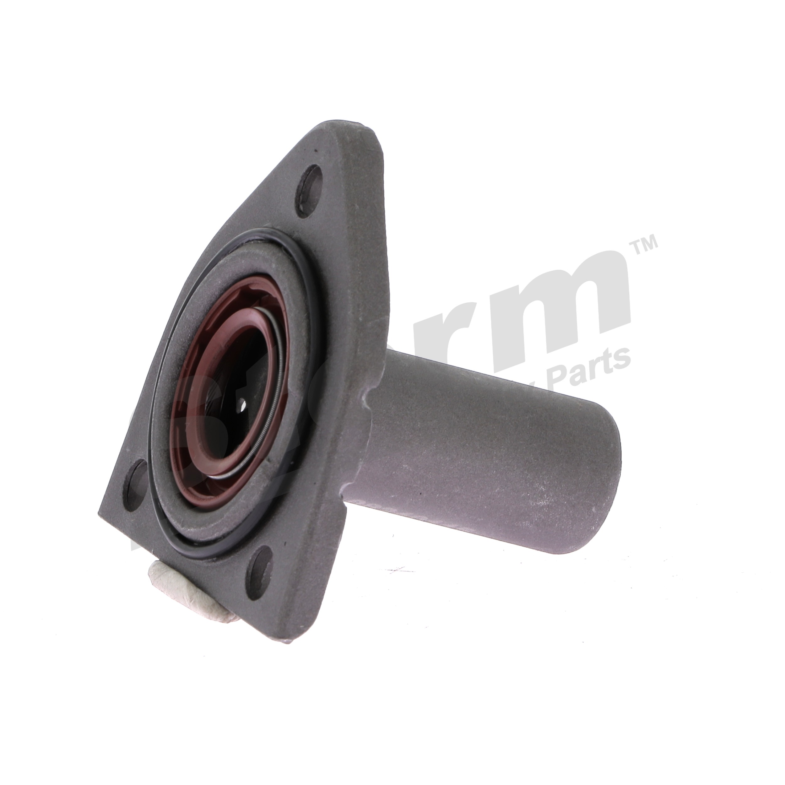 STORM QUALITY PARTS Führungshülse, Kupplung (F4478) in erstklassiger Qualität für DS DS7 Crossback 1.6 PureTech 180 (J45GFR) (133 KW / 180 PS / de 2018)