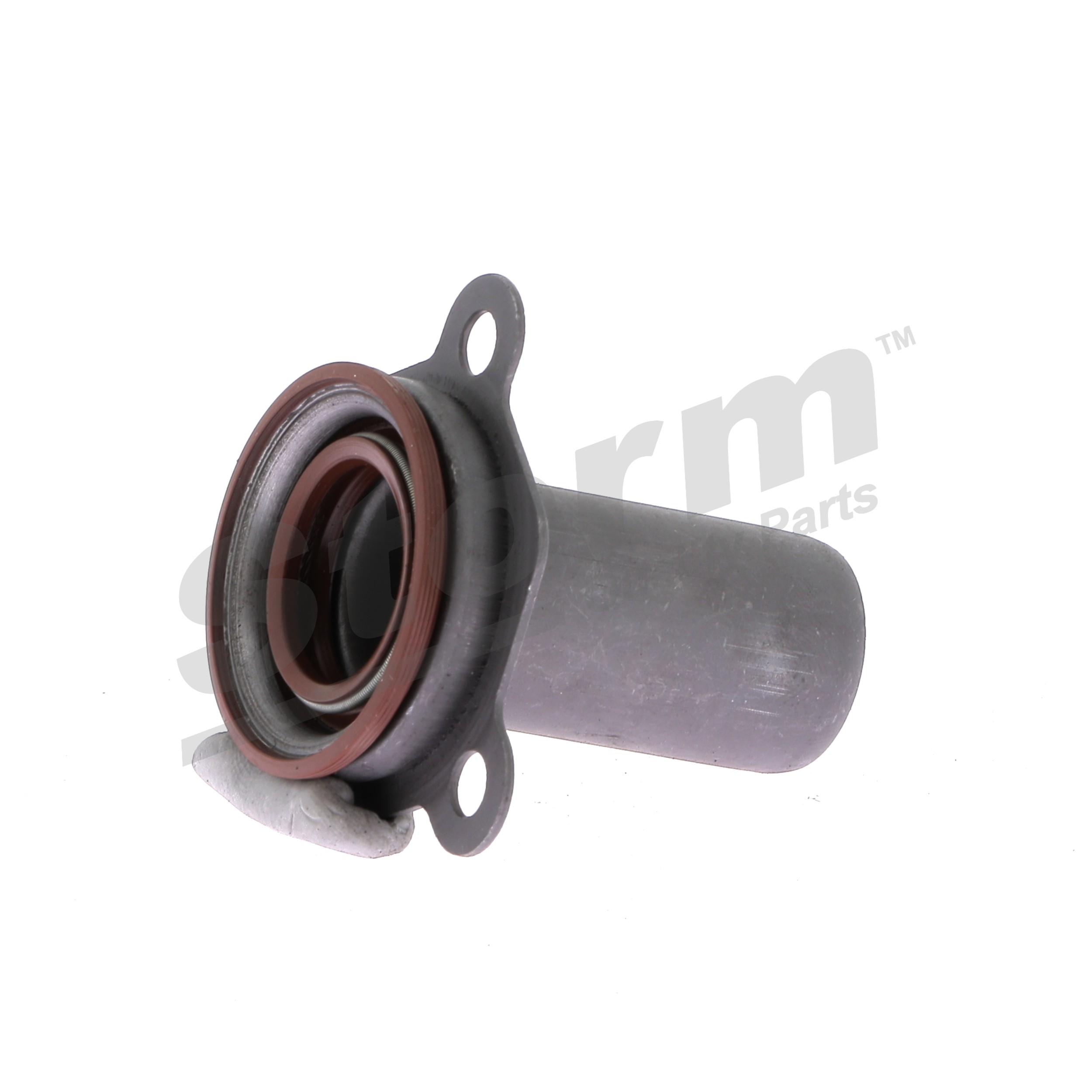 STORM QUALITY PARTS Führungshülse, Kupplung (F4479) in erstklassiger Qualität für DS DS 3 1.4 HDi 70 (SA8HR4, SA8HP4) (50 KW / 68 PS / de 2015)