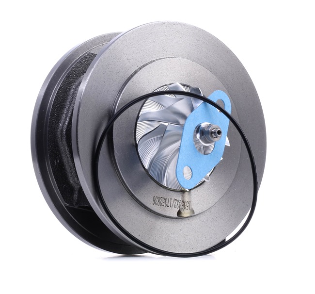 ix35 Rumpfgruppe, Lader RIDEX 4973C0233