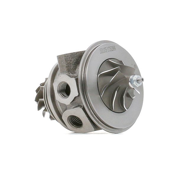CAPTUR Cartouche turbo 4973C0239 RIDEX