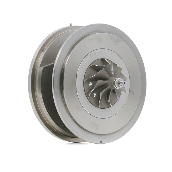 OEM 7823202 RIDEX Coreassy turbina 4973C0252 per BMW