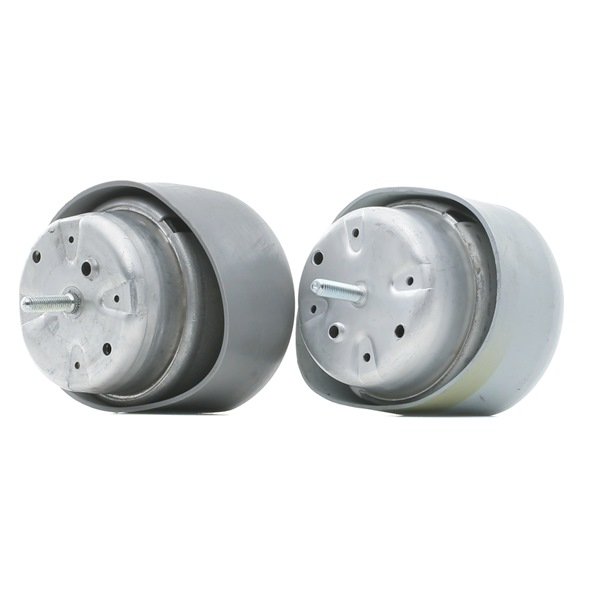 Motorfeste (247E0800) fra RIDEX for VW PASSAT Variant (3B6) 1.9 TDI 4motion (96 KW / 130 HK / Fra 2000)