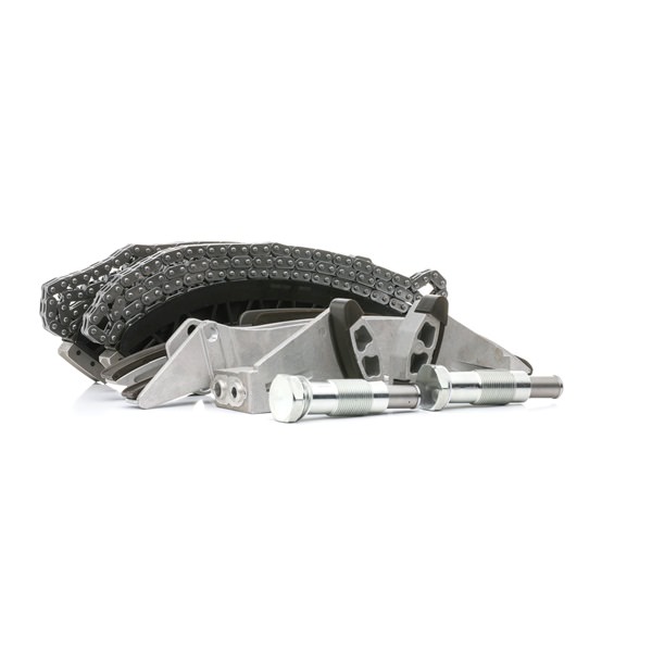 OEM 11317504471 RIDEX Jakoketjusarja 1389T2708 varten BMW, MINI